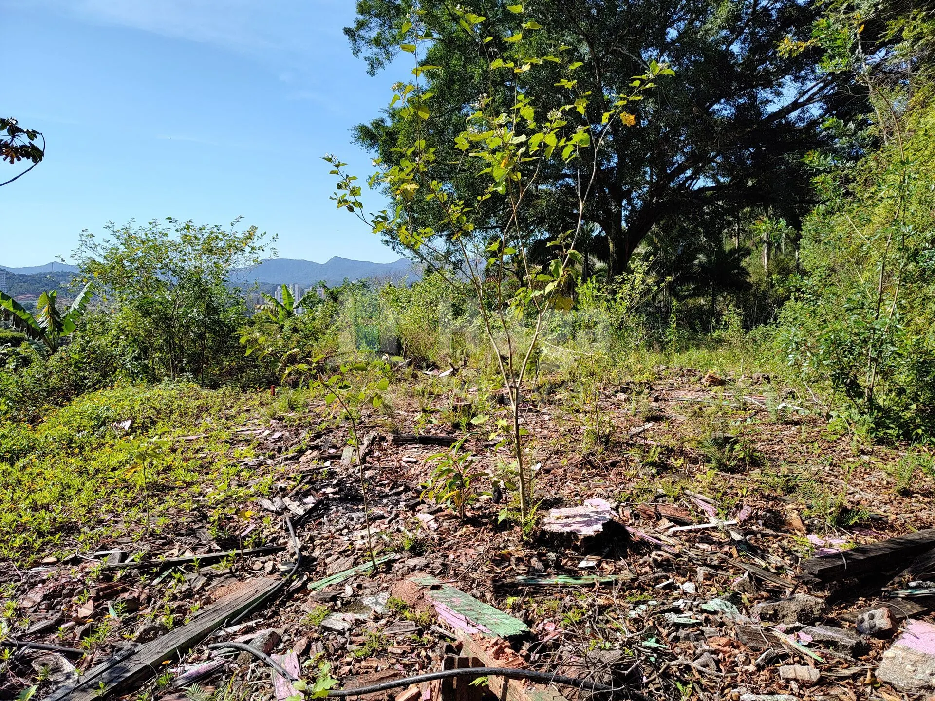 Terreno à venda de 1 ha em Brusque, SC, Brasil