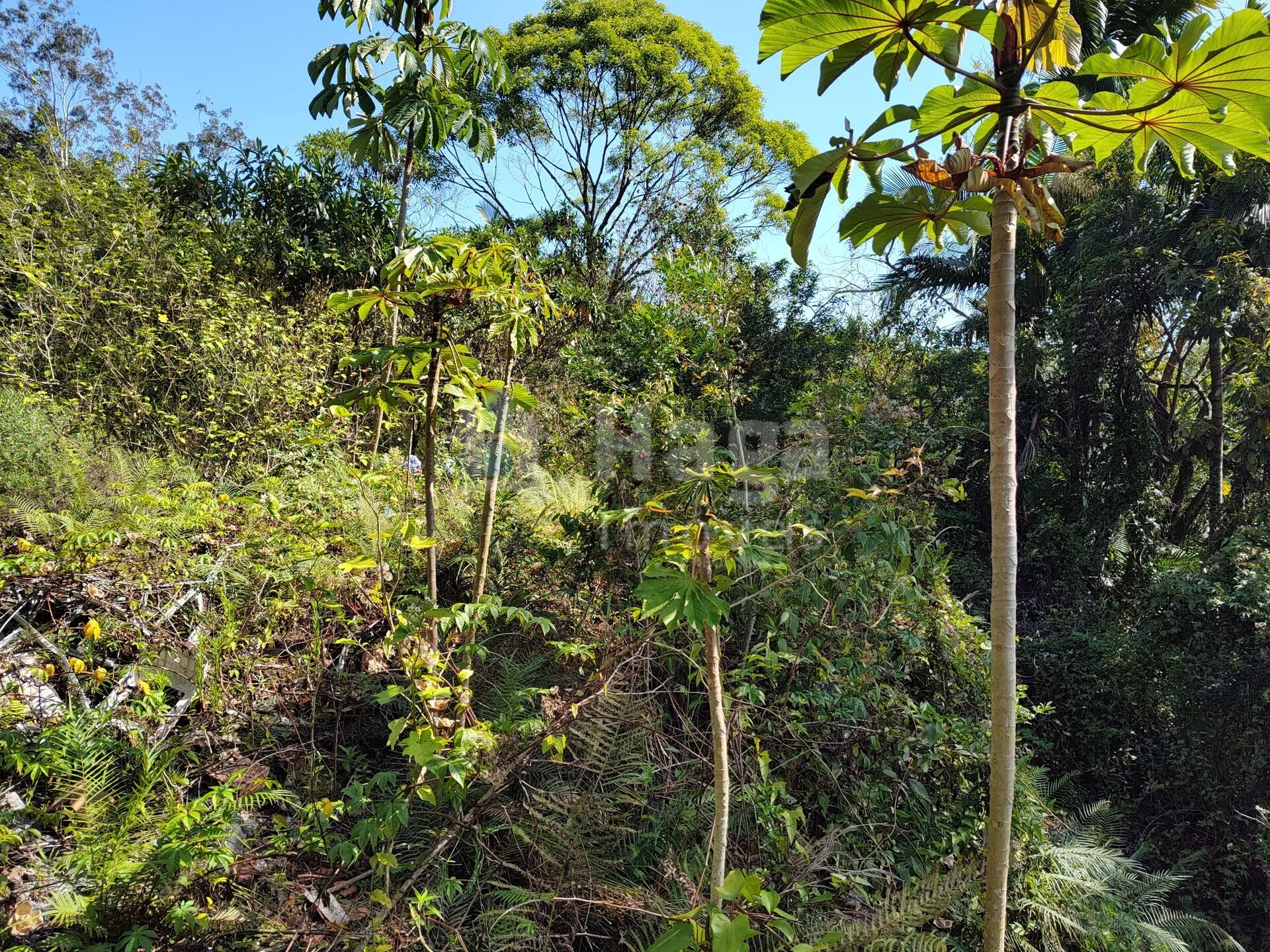Terreno à venda de 1 ha em Brusque, SC, Brasil