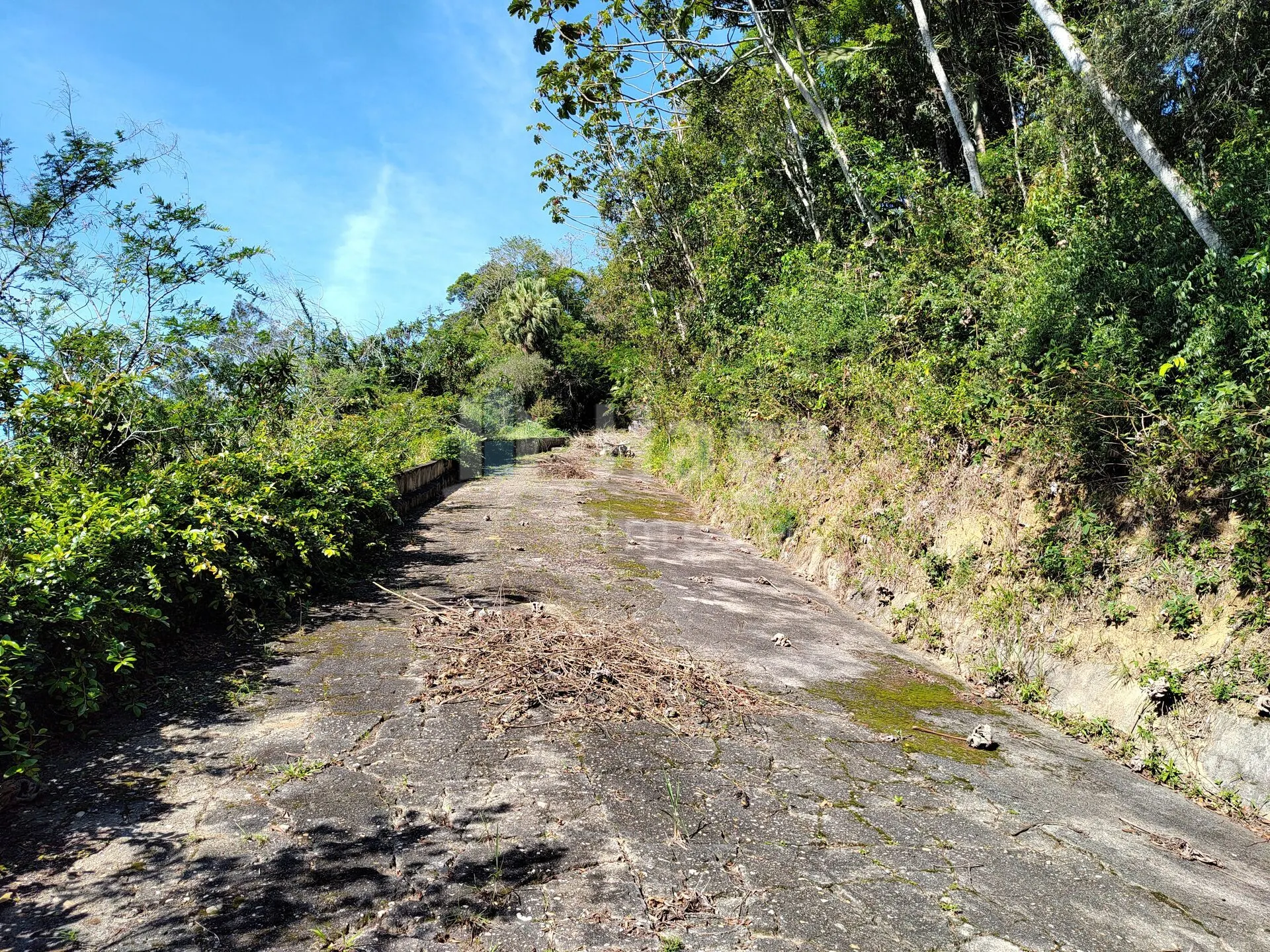 Terreno à venda de 1 ha em Brusque, SC, Brasil