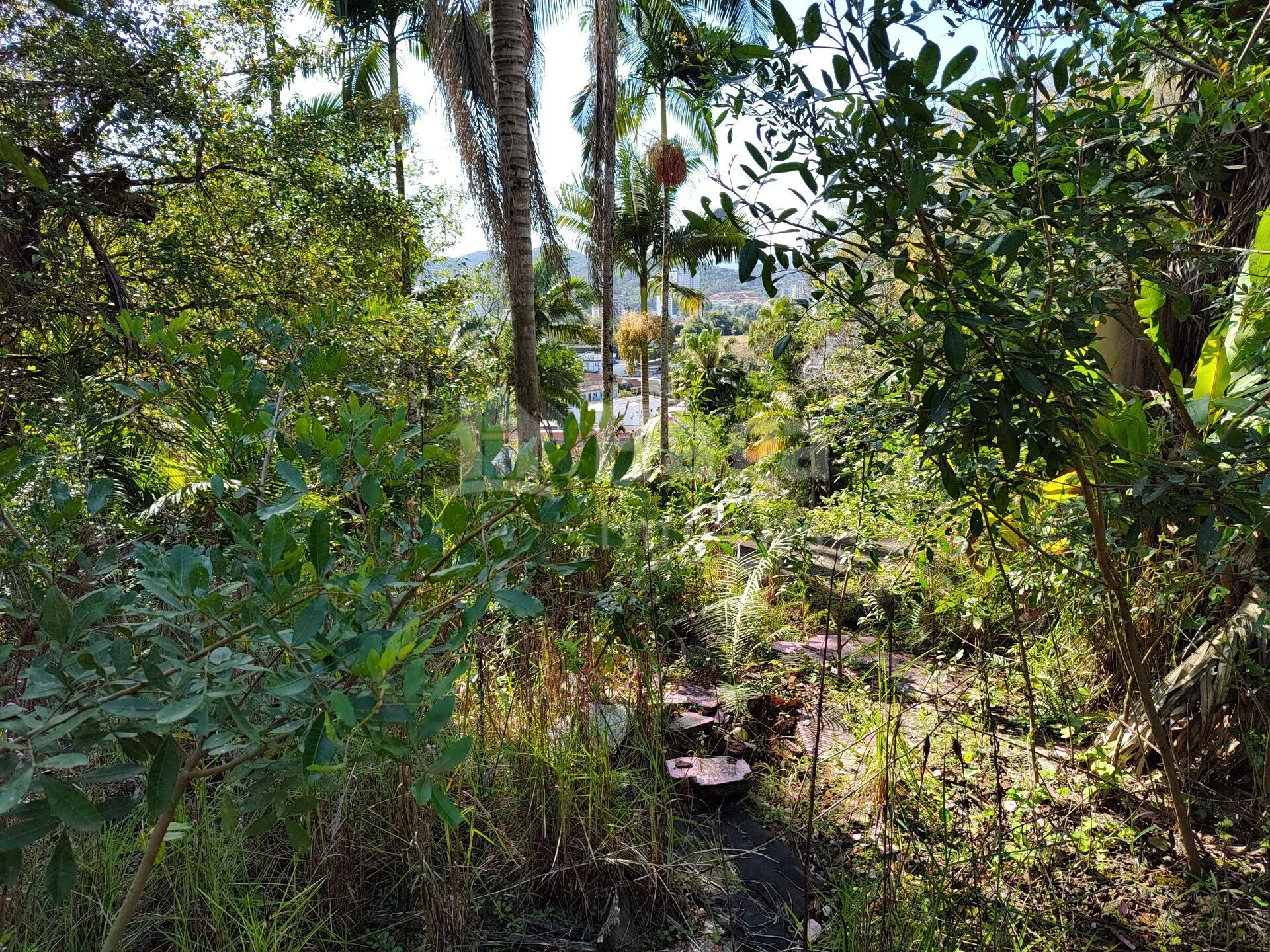 Terreno à venda de 1 ha em Brusque, SC, Brasil