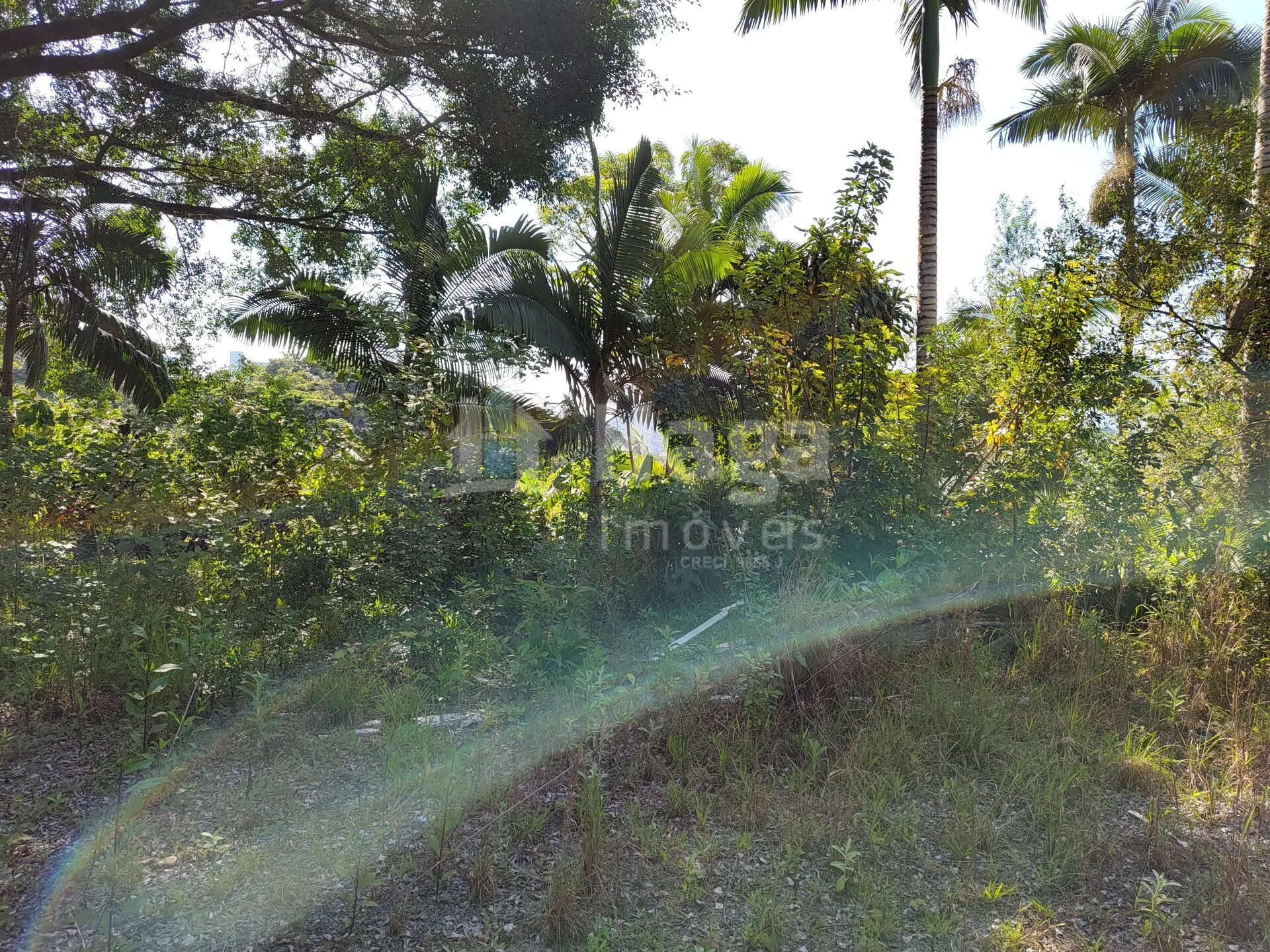 Terreno à venda de 1 ha em Brusque, SC, Brasil
