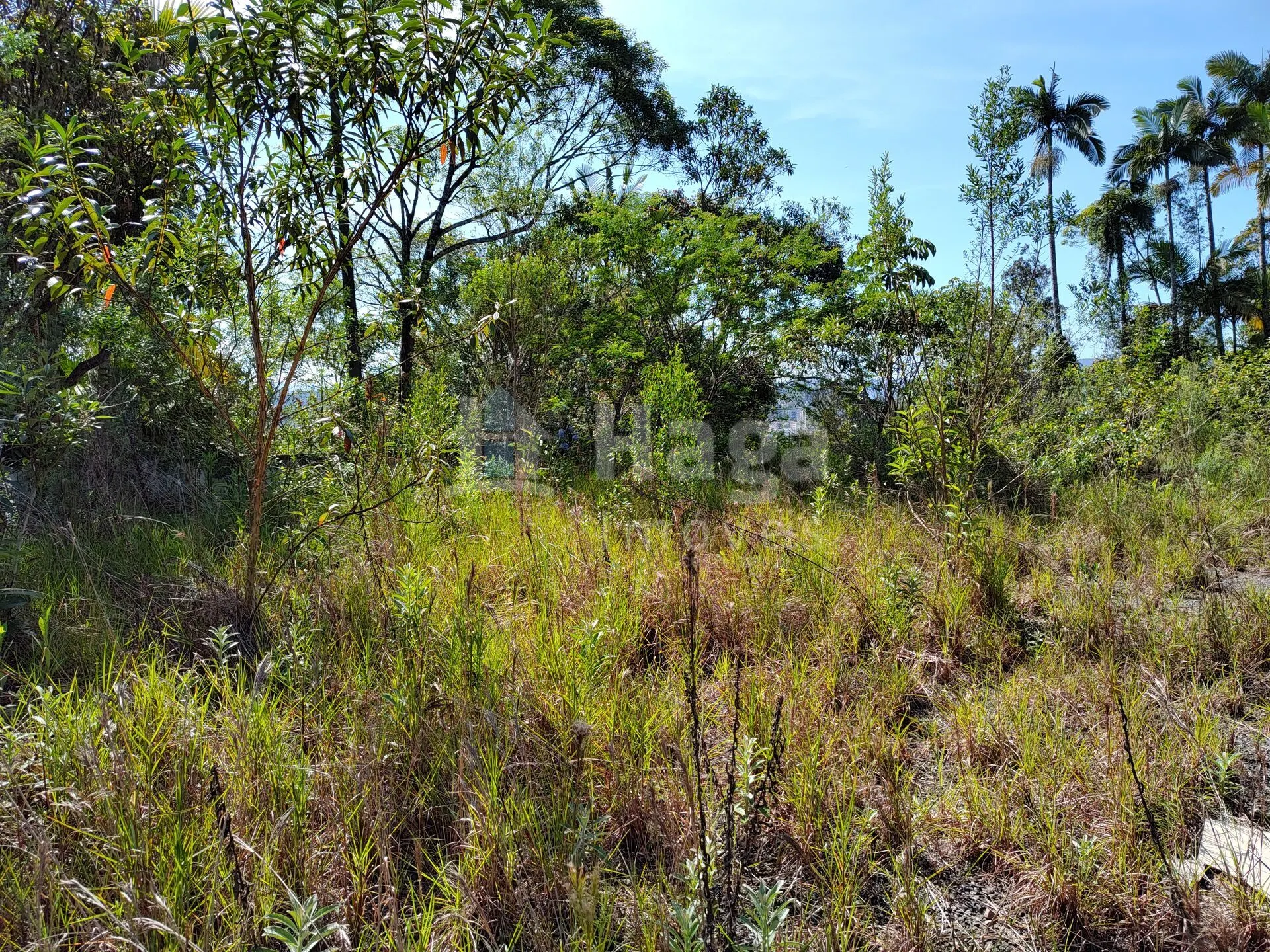Terreno à venda de 1 ha em Brusque, SC, Brasil