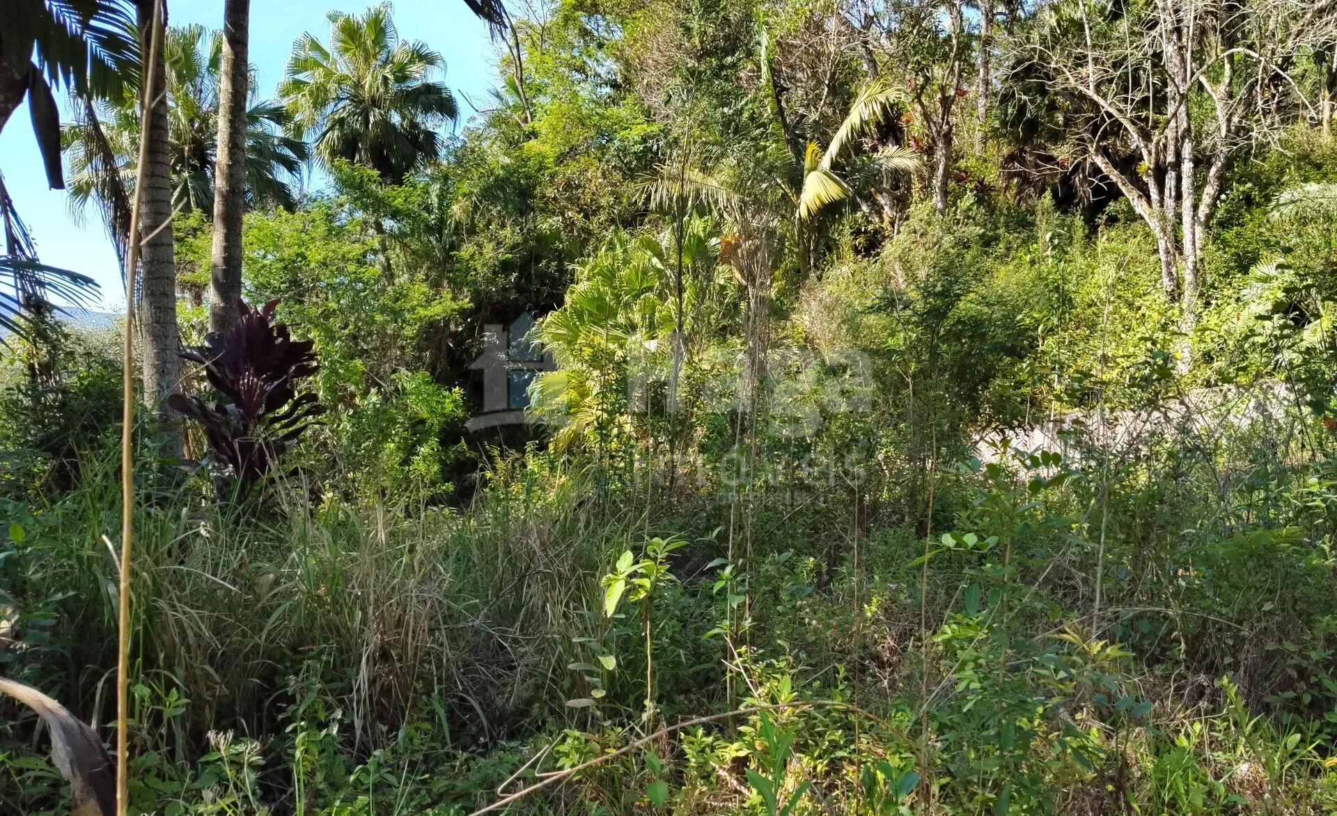 Terreno à venda de 1 ha em Brusque, SC, Brasil
