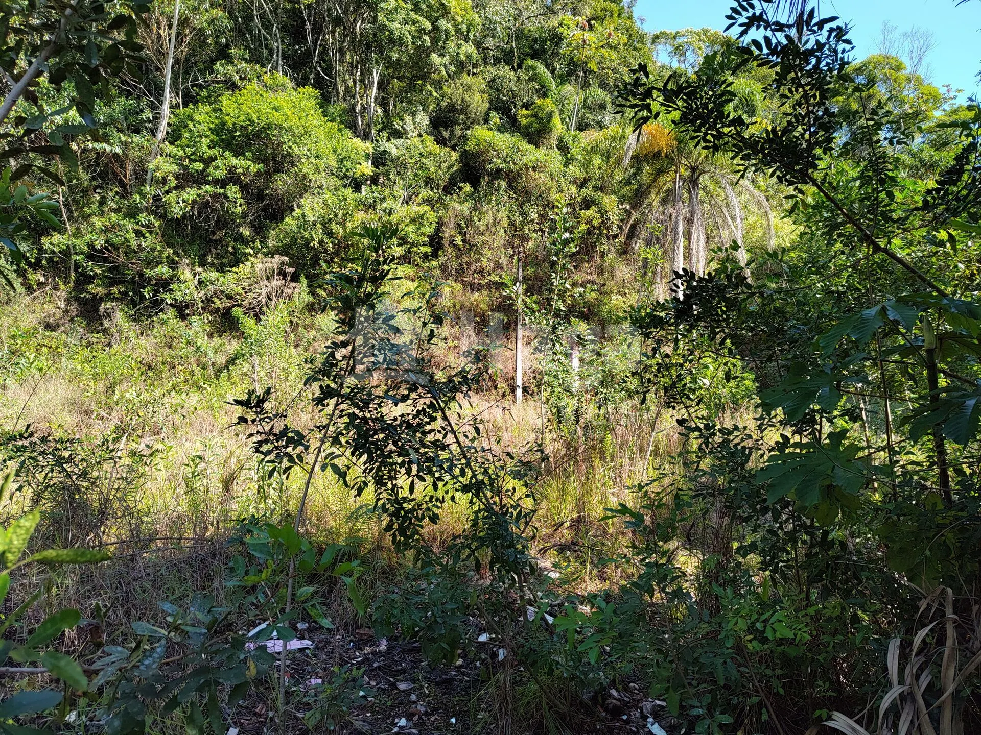 Terreno à venda de 1 ha em Brusque, SC, Brasil