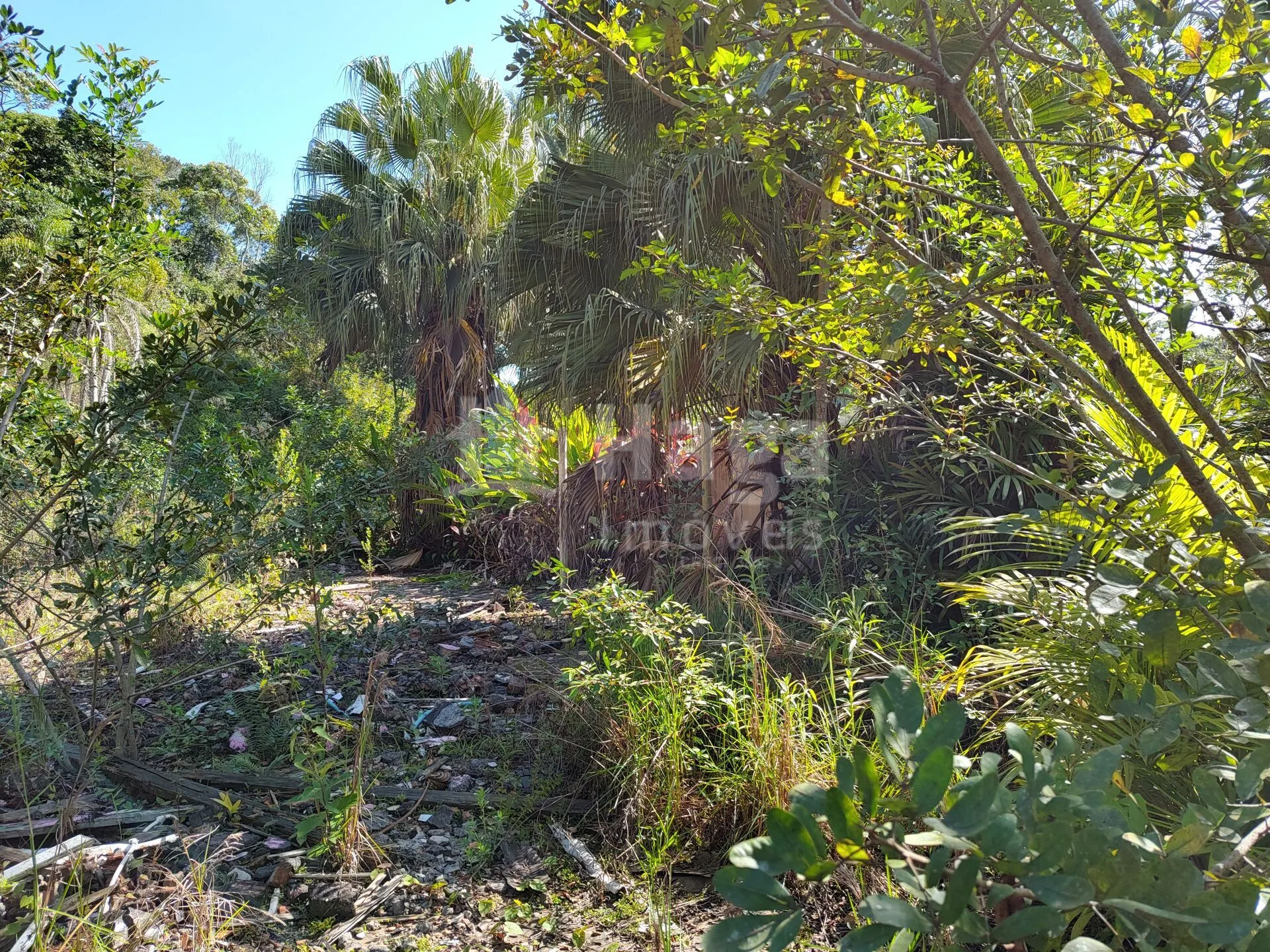 Terreno à venda de 1 ha em Brusque, SC, Brasil