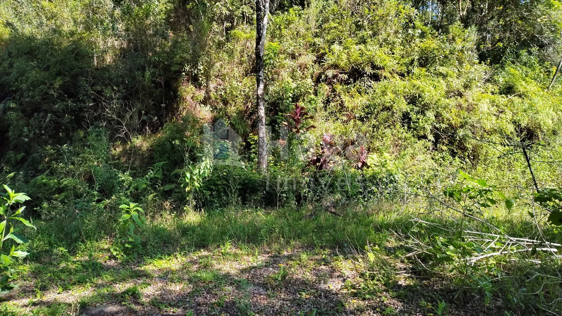Terreno à venda de 1 ha em Brusque, SC, Brasil