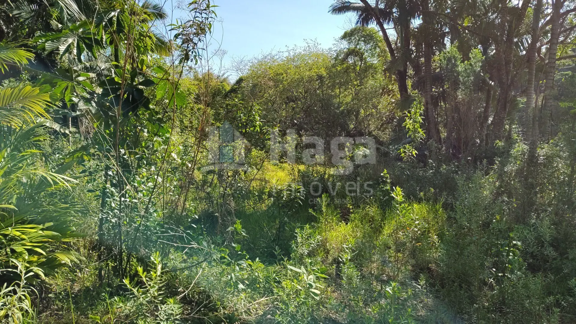 Terreno à venda de 1 ha em Brusque, SC, Brasil