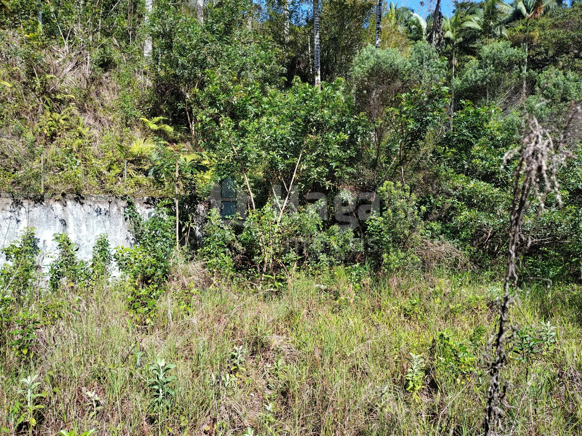 Terreno à venda de 1 ha em Brusque, SC, Brasil