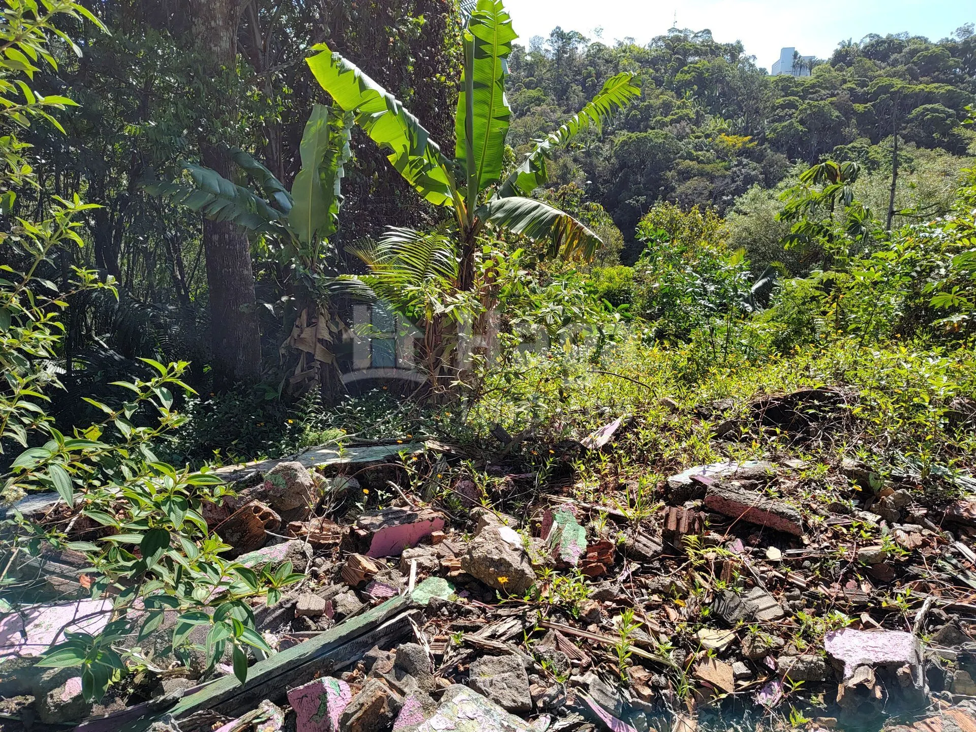 Terreno à venda de 1 ha em Brusque, SC, Brasil
