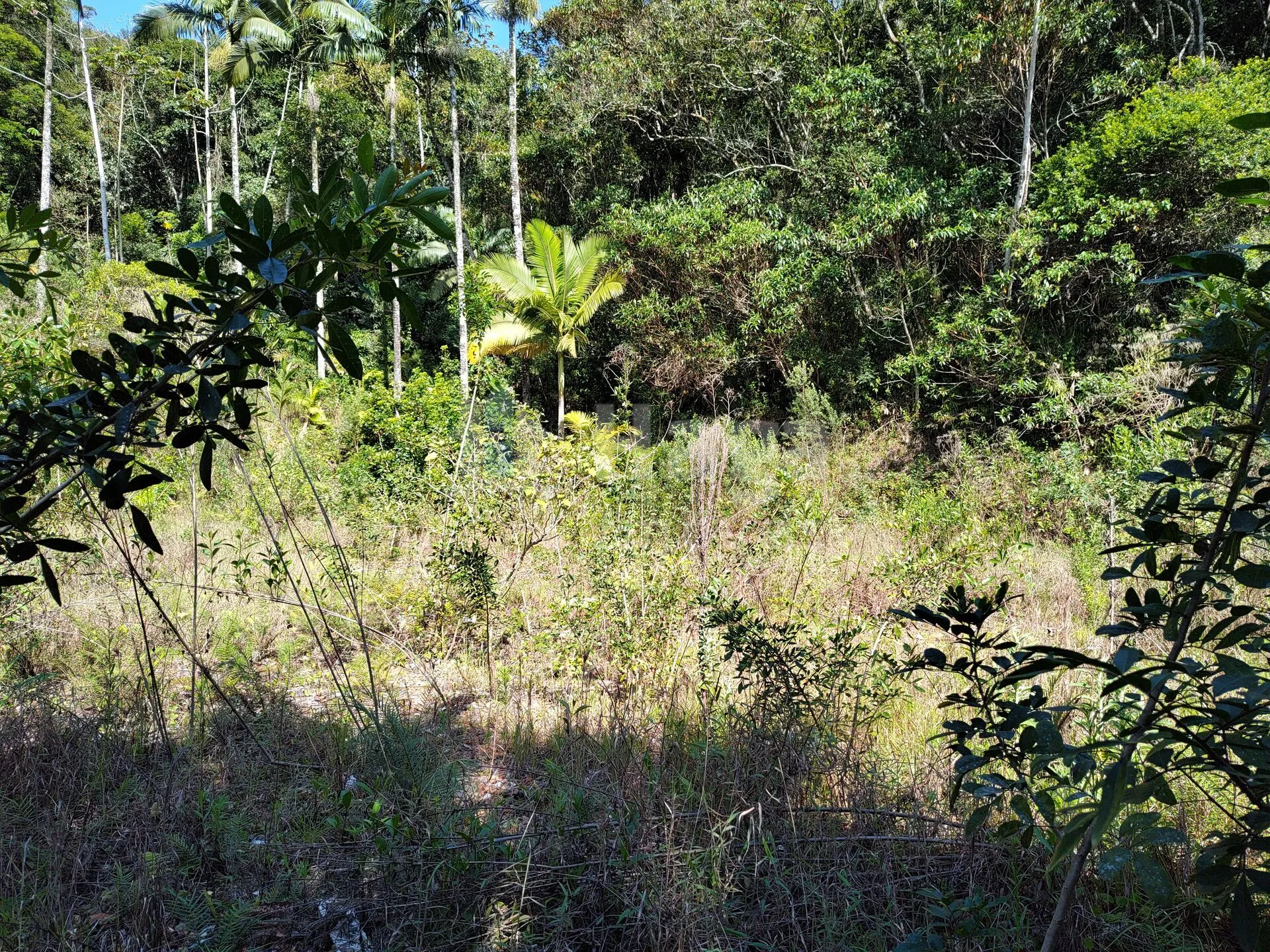 Terreno à venda de 1 ha em Brusque, SC, Brasil