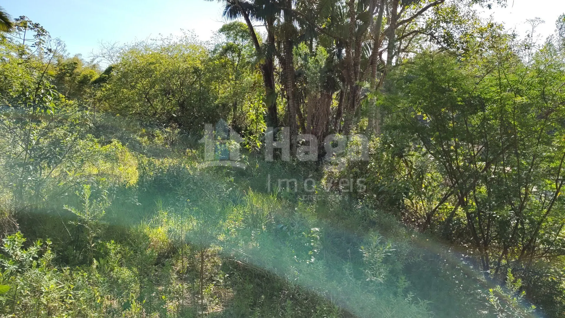 Terreno à venda de 1 ha em Brusque, SC, Brasil