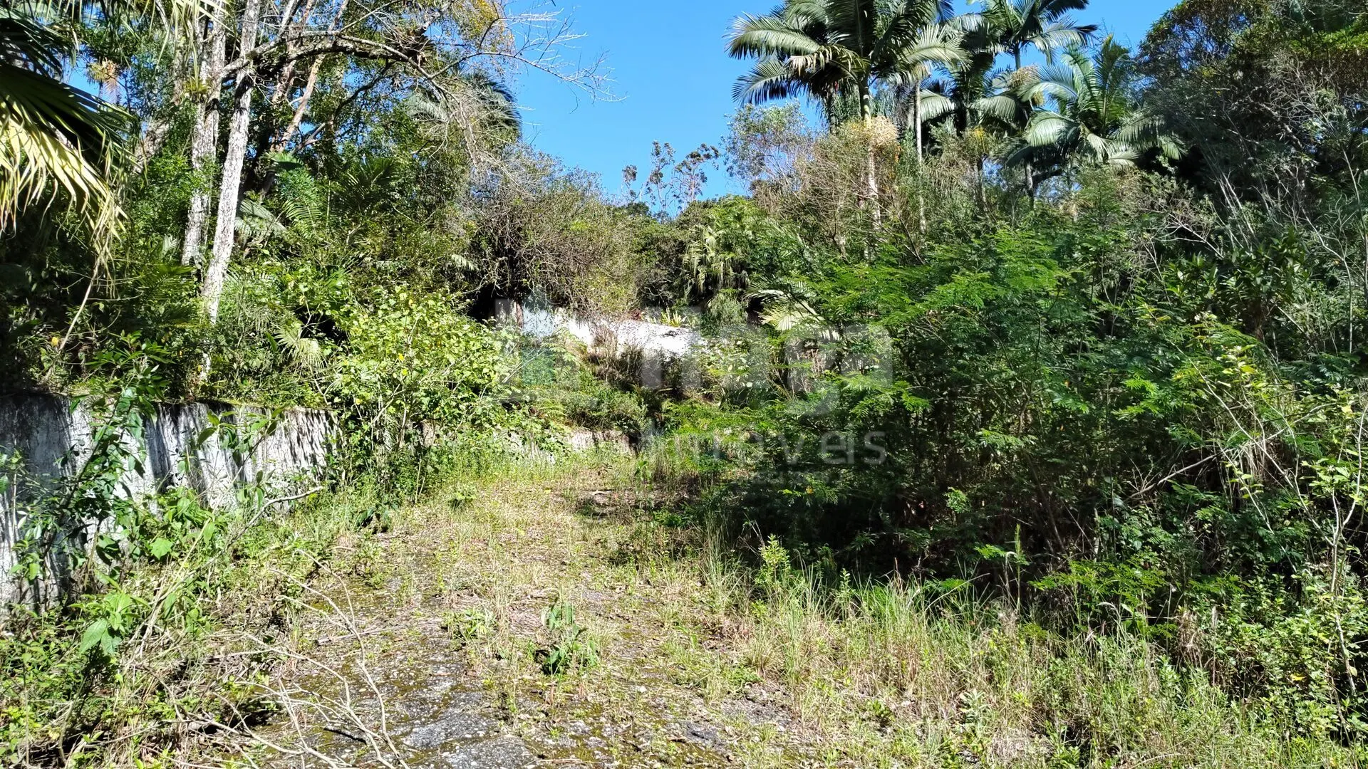Terreno à venda de 1 ha em Brusque, SC, Brasil