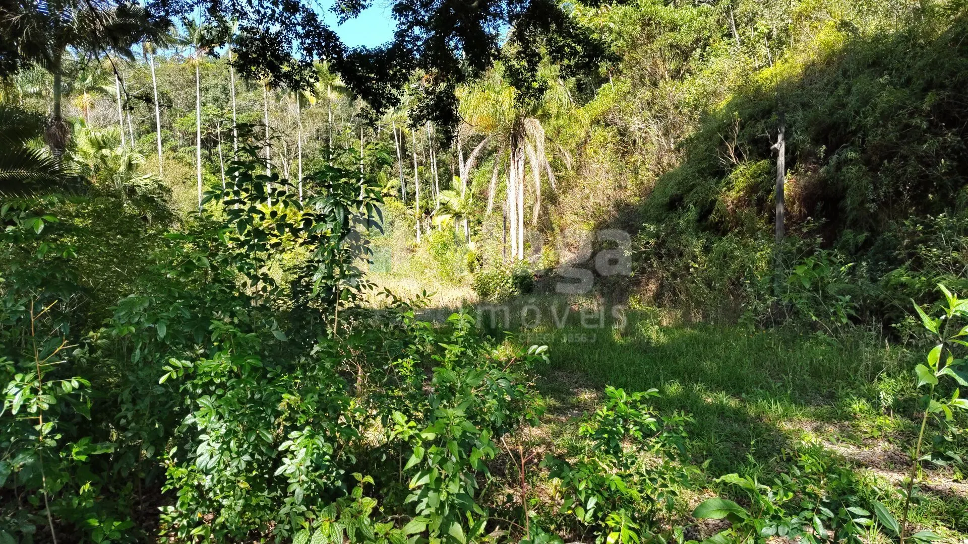 Terreno à venda de 1 ha em Brusque, SC, Brasil