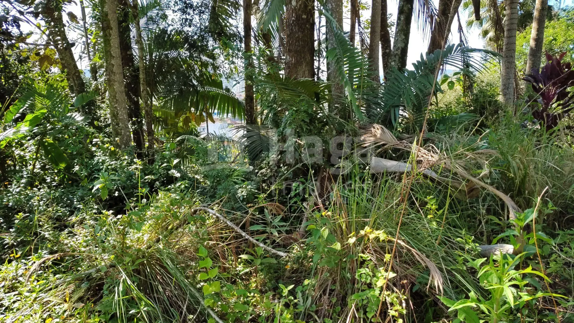 Terreno à venda de 1 ha em Brusque, SC, Brasil