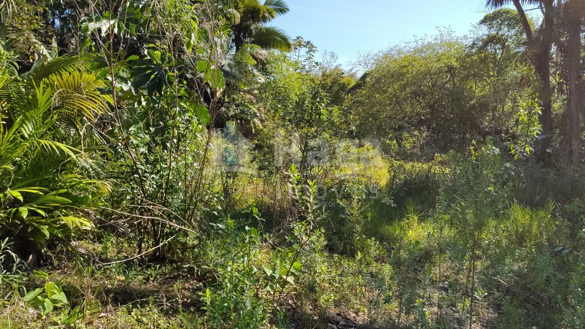 Terreno à venda de 1 ha em Brusque, SC, Brasil