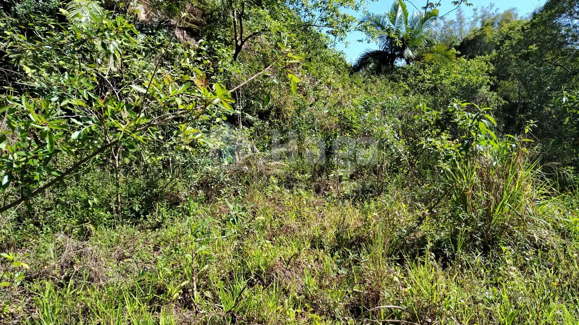 Terreno à venda de 1 ha em Brusque, SC, Brasil