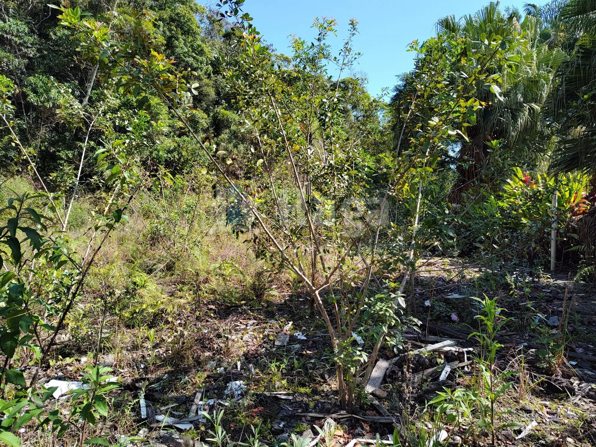 Terreno à venda de 1 ha em Brusque, SC, Brasil