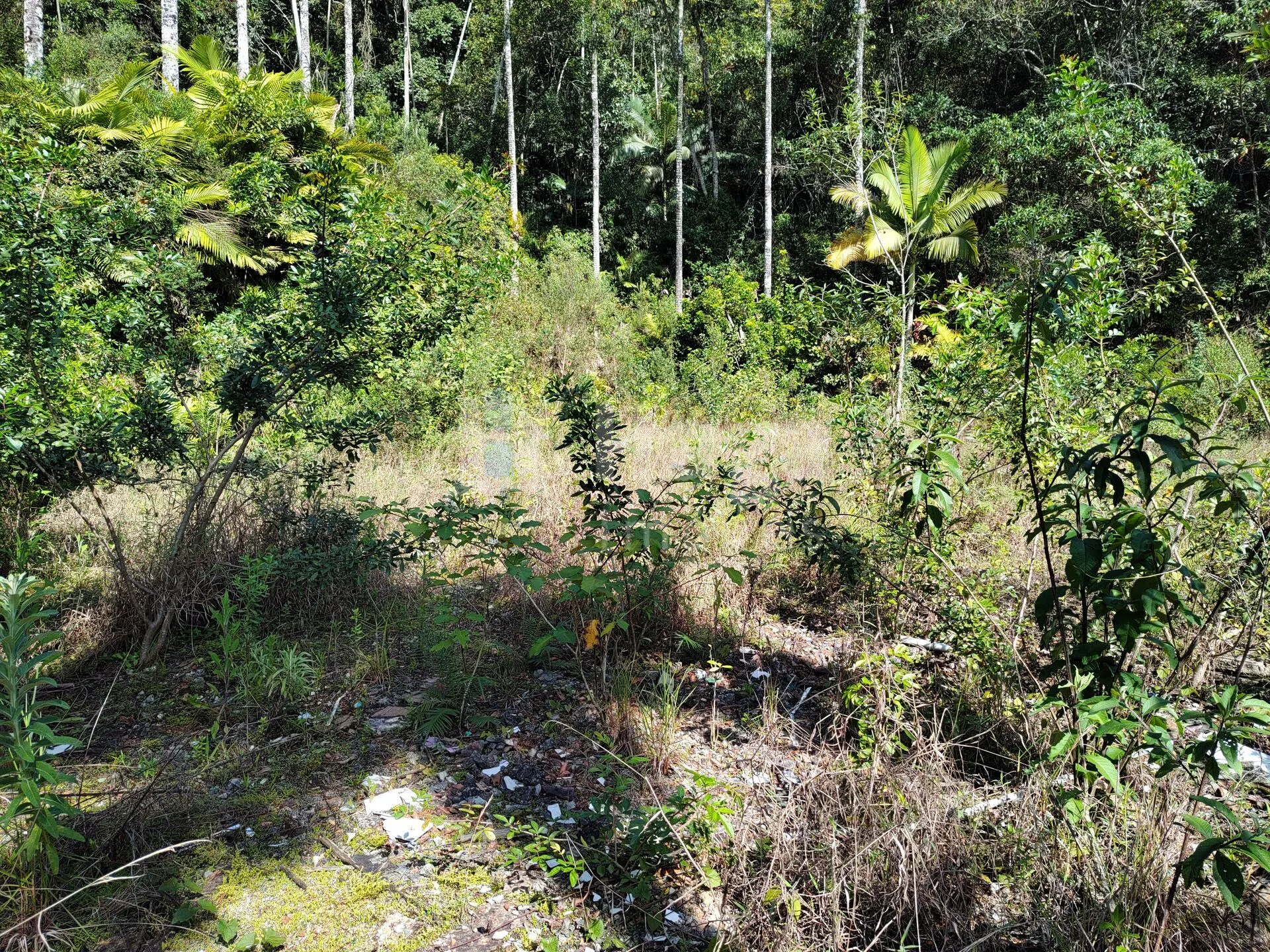 Terreno à venda de 1 ha em Brusque, SC, Brasil