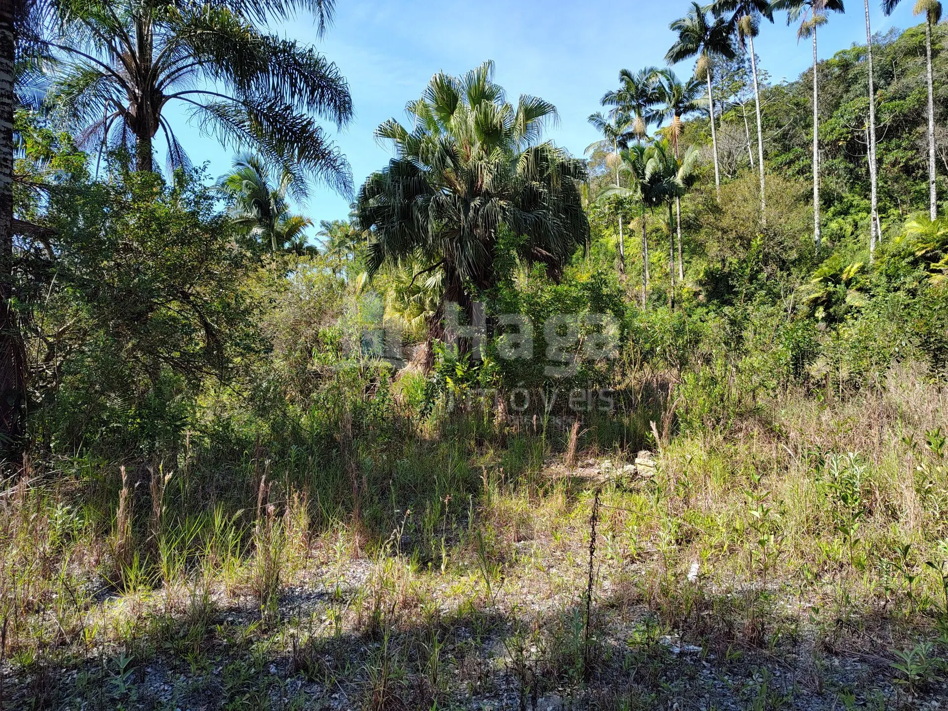 Terreno à venda de 1 ha em Brusque, SC, Brasil