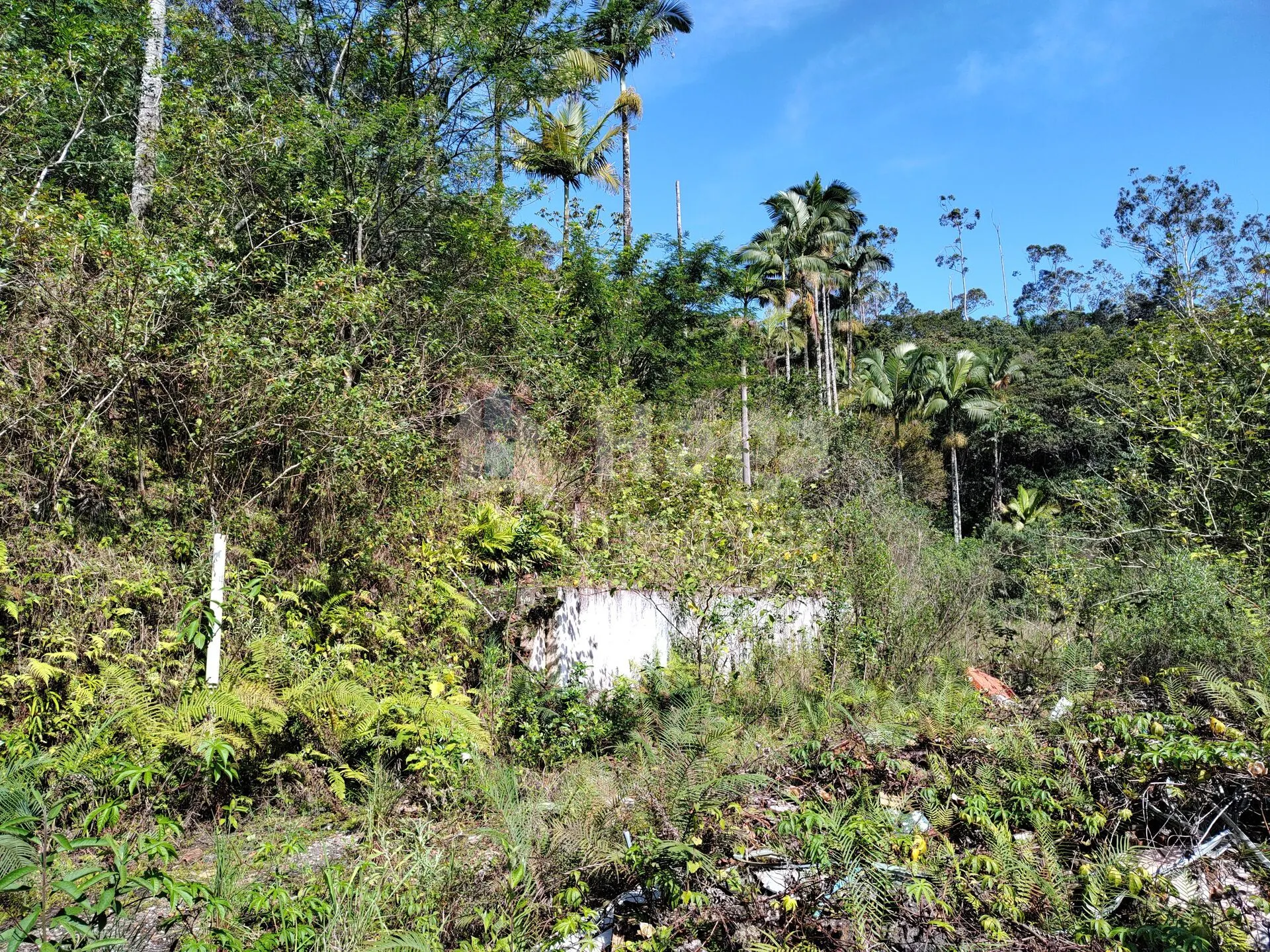 Terreno à venda de 1 ha em Brusque, SC, Brasil