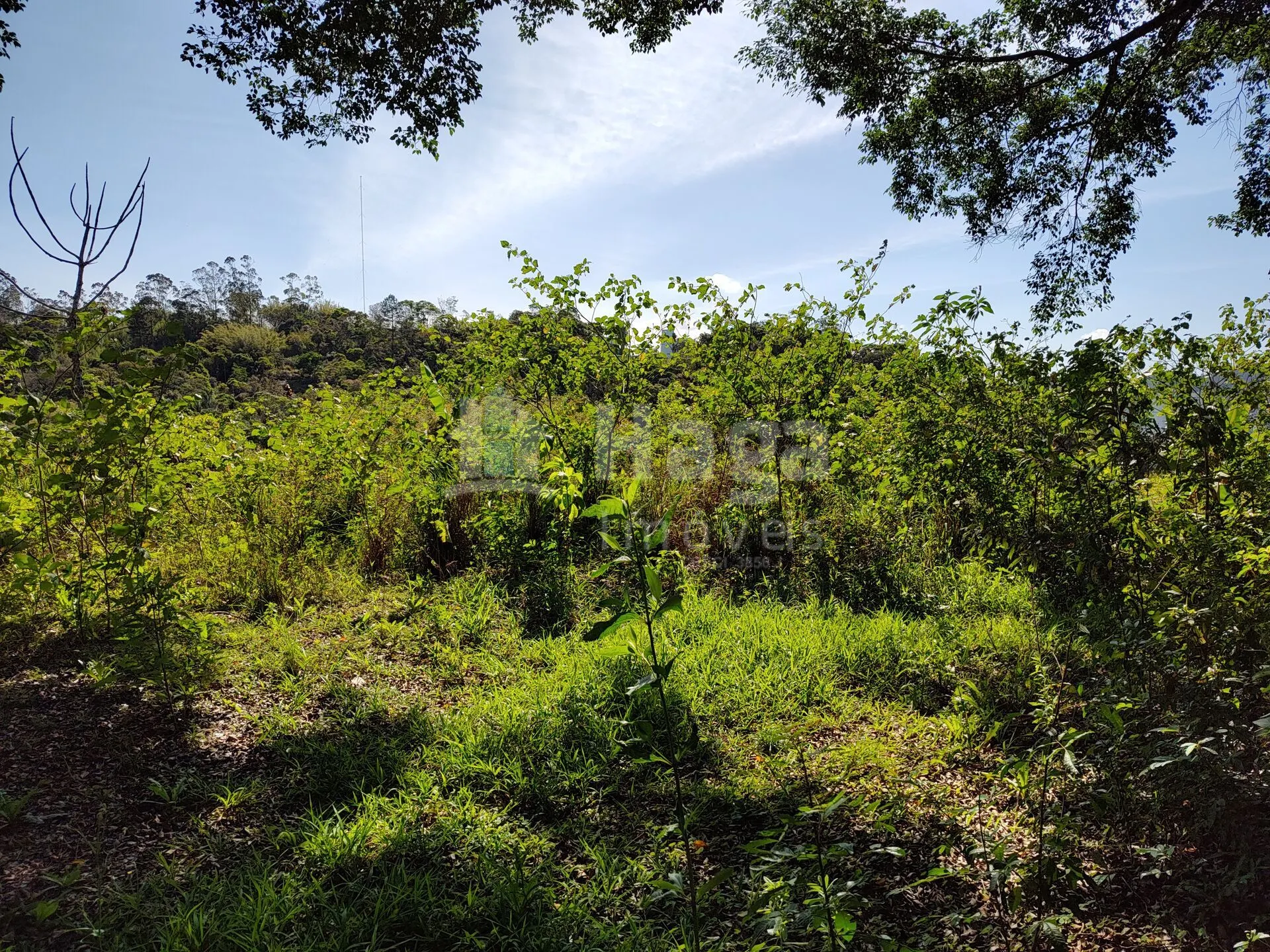 Terreno à venda de 1 ha em Brusque, SC, Brasil