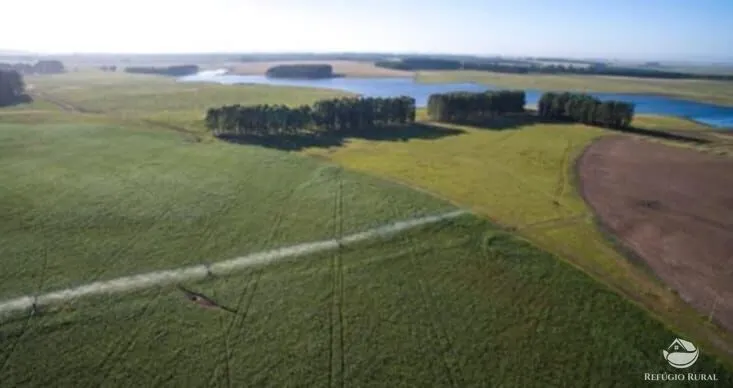 Fazenda à venda de 6.000 ha em Jaguarão, RS, Brasil