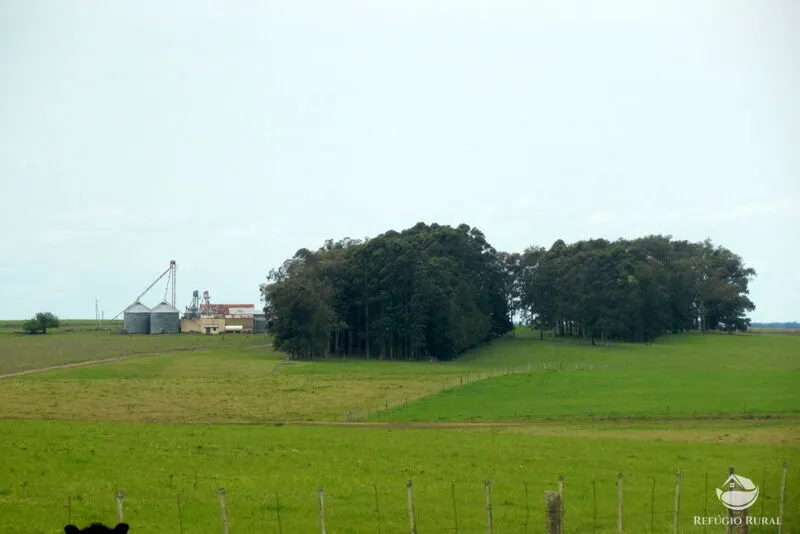 Fazenda à venda de 6.000 ha em Jaguarão, RS, Brasil