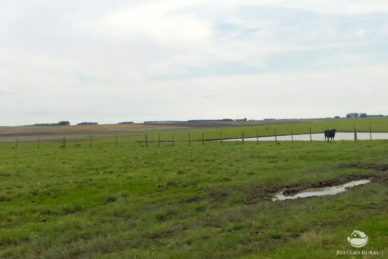 Fazenda à venda de 6.000 ha em Jaguarão, RS, Brasil