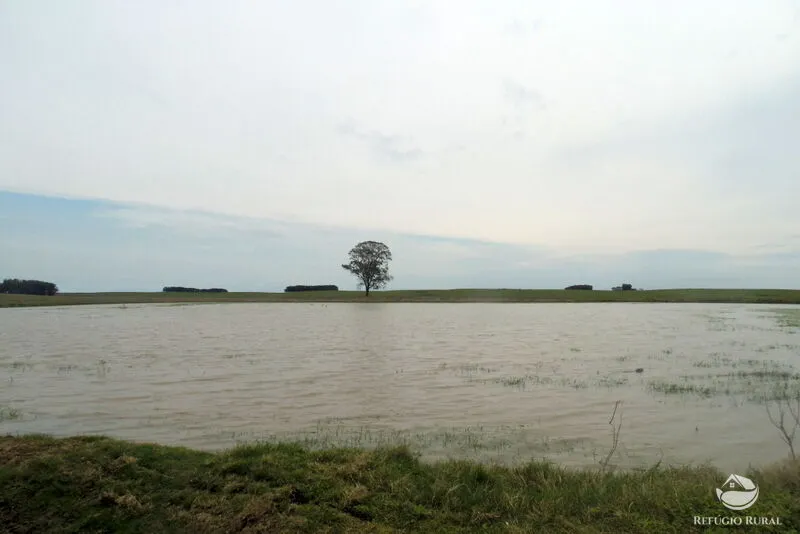 Fazenda à venda de 6.000 ha em Jaguarão, RS, Brasil