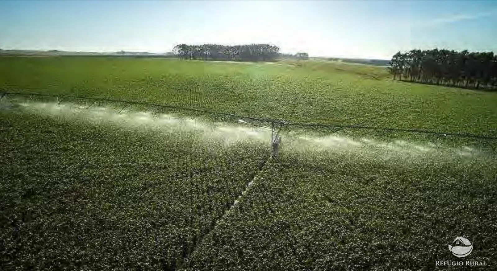 Fazenda à venda de 6.000 ha em Jaguarão, RS, Brasil