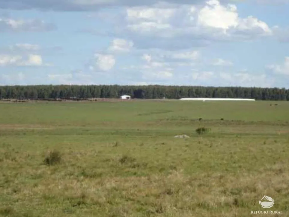 Fazenda à venda de 6.000 ha em Jaguarão, RS, Brasil