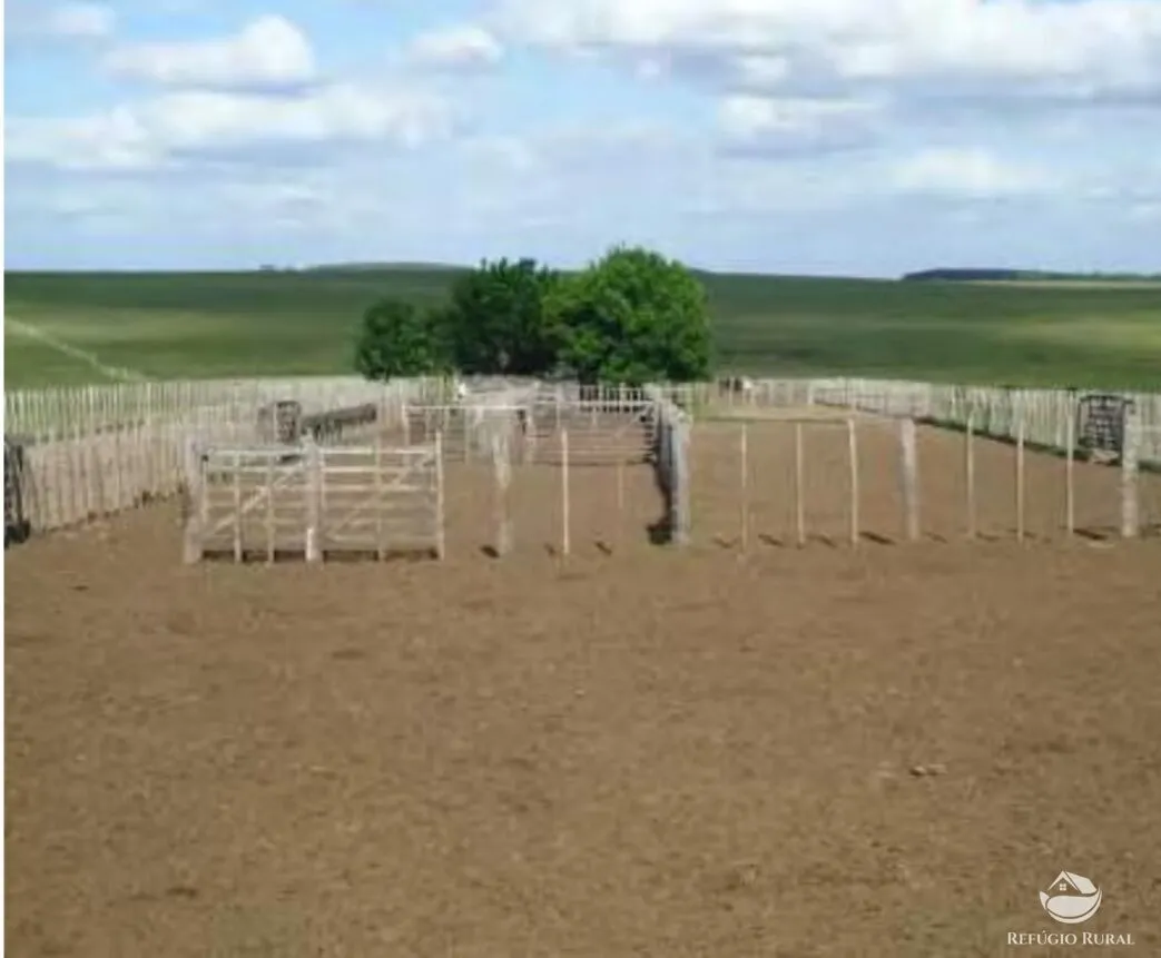 Fazenda à venda de 6.000 ha em Jaguarão, RS, Brasil