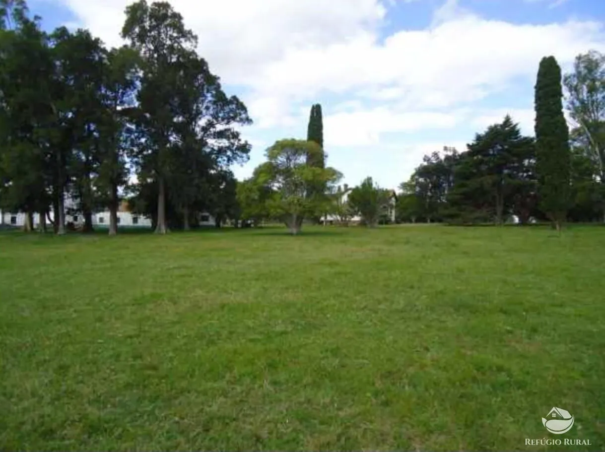 Fazenda à venda de 6.000 ha em Jaguarão, RS, Brasil
