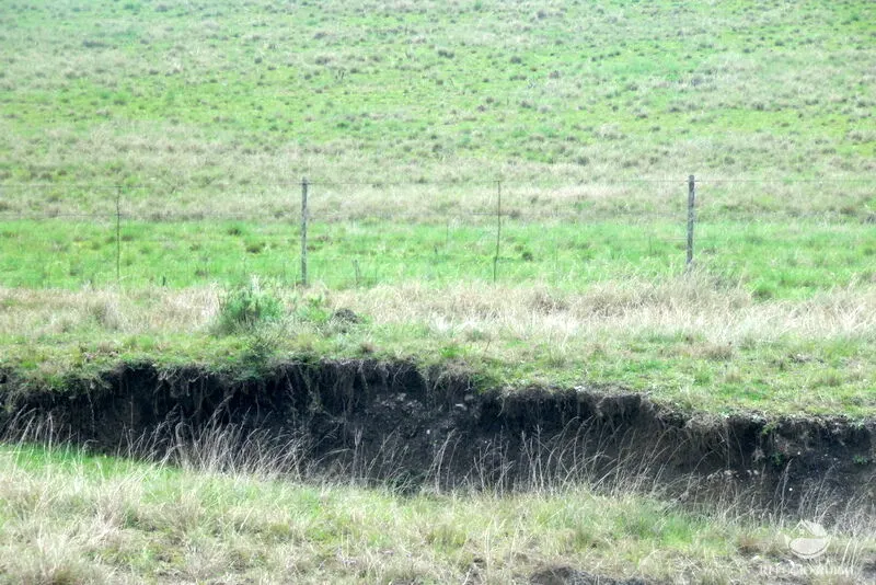 Fazenda à venda de 6.000 ha em Jaguarão, RS, Brasil