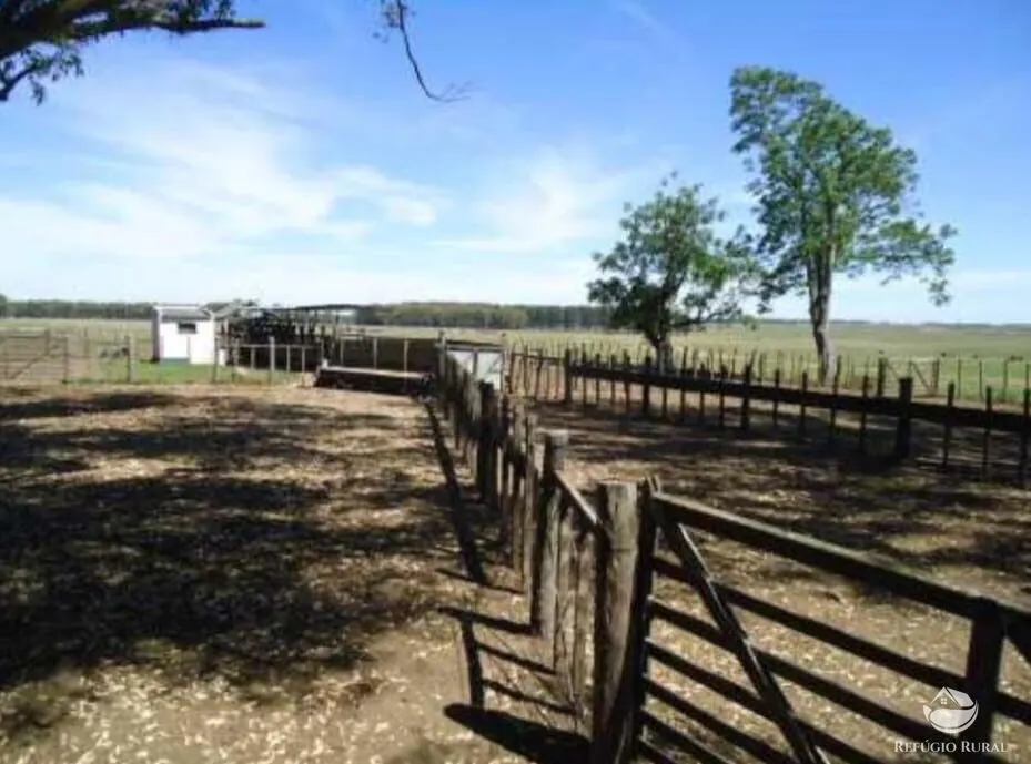 Fazenda à venda de 6.000 ha em Jaguarão, RS, Brasil