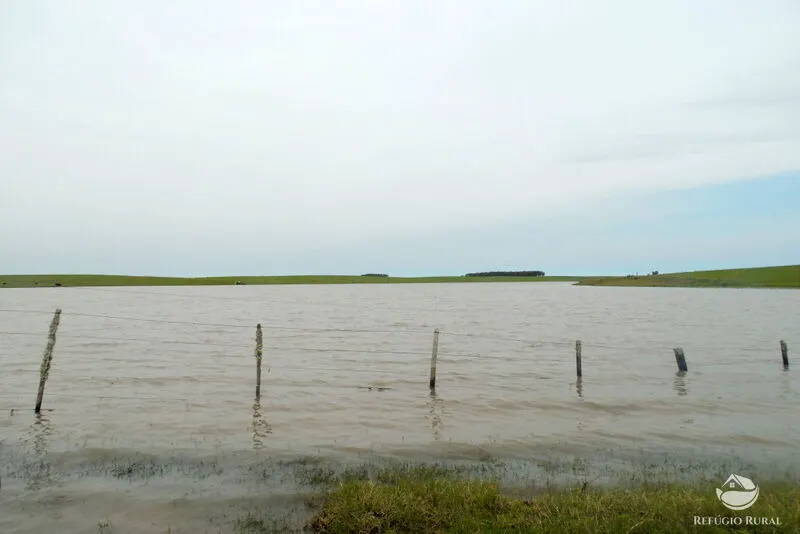 Fazenda à venda de 6.000 ha em Jaguarão, RS, Brasil