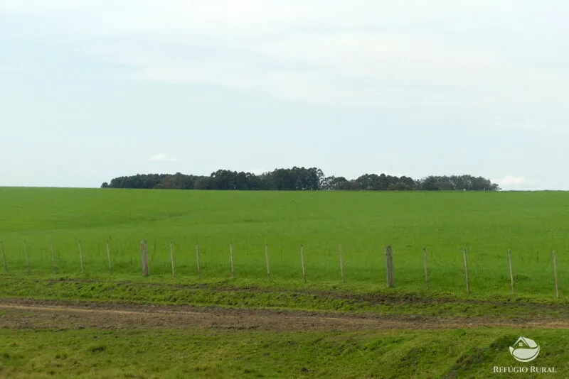 Fazenda à venda de 6.000 ha em Jaguarão, RS, Brasil