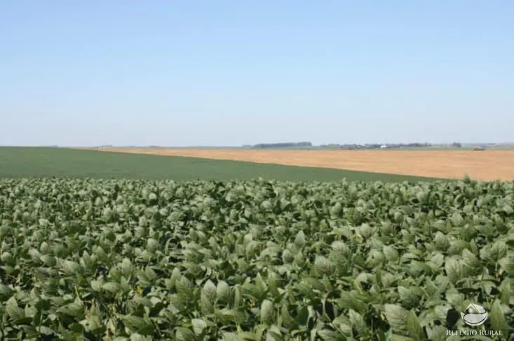 Fazenda à venda de 6.000 ha em Jaguarão, RS, Brasil