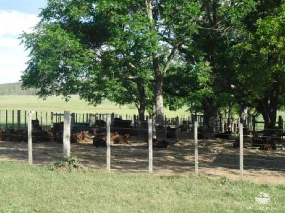 Fazenda à venda de 6.000 ha em Jaguarão, RS, Brasil