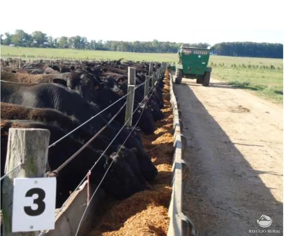 Fazenda à venda de 6.000 ha em Jaguarão, RS, Brasil