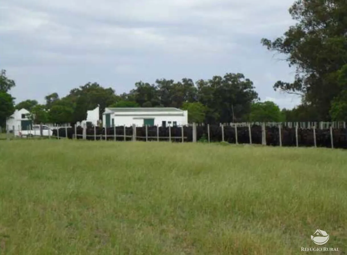 Fazenda à venda de 6.000 ha em Jaguarão, RS, Brasil