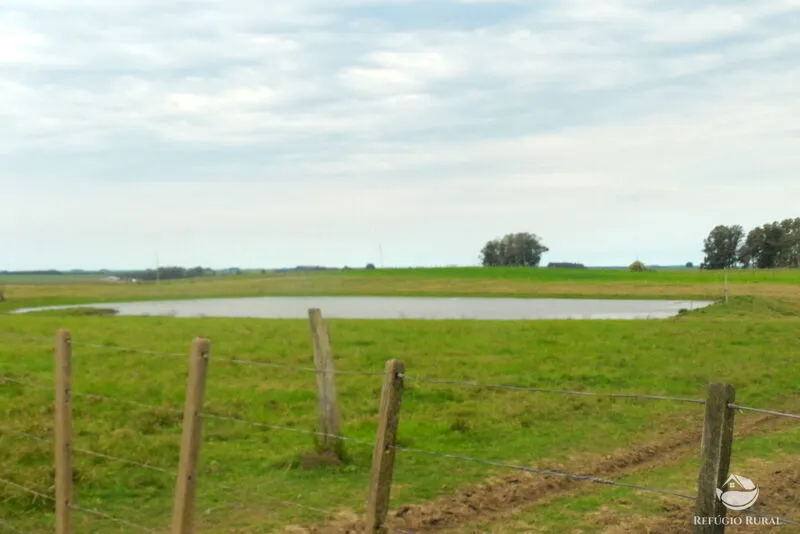 Fazenda à venda de 6.000 ha em Jaguarão, RS, Brasil