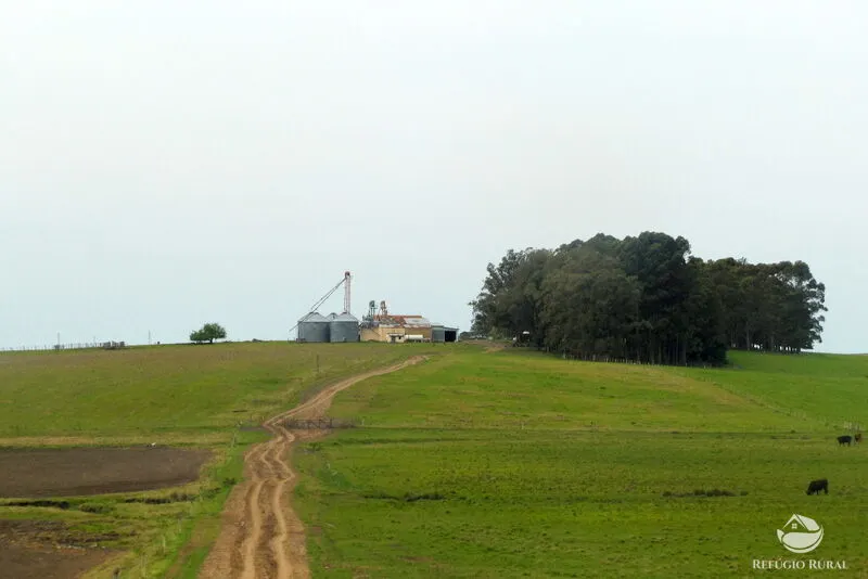 Fazenda à venda de 6.000 ha em Jaguarão, RS, Brasil