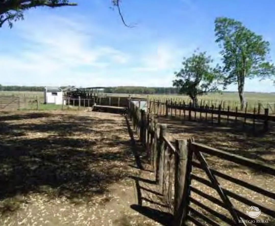 Fazenda à venda de 6.000 ha em Jaguarão, RS, Brasil