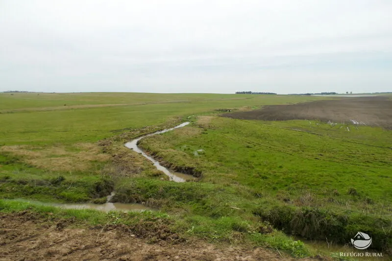 Fazenda à venda de 6.000 ha em Jaguarão, RS, Brasil