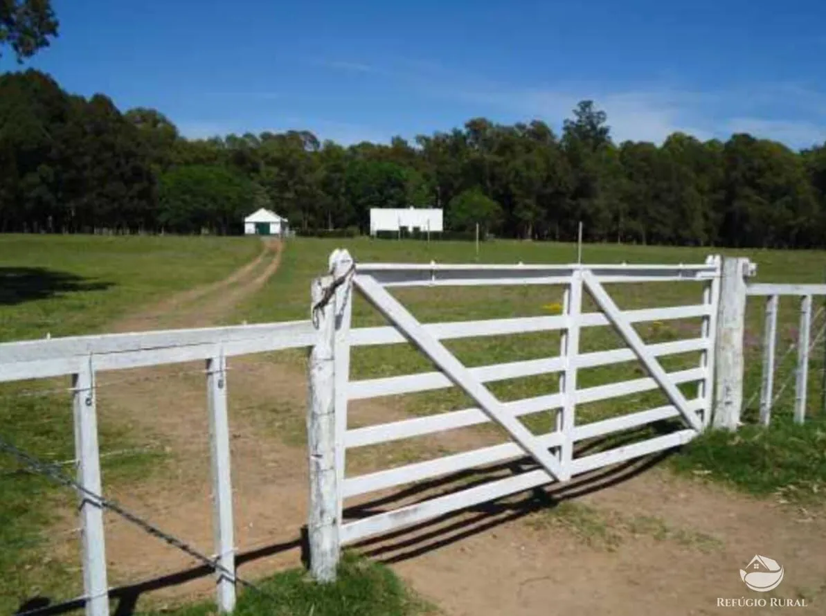 Fazenda à venda de 6.000 ha em Jaguarão, RS, Brasil