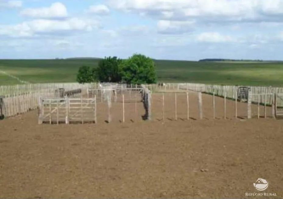 Fazenda à venda de 6.000 ha em Jaguarão, RS, Brasil