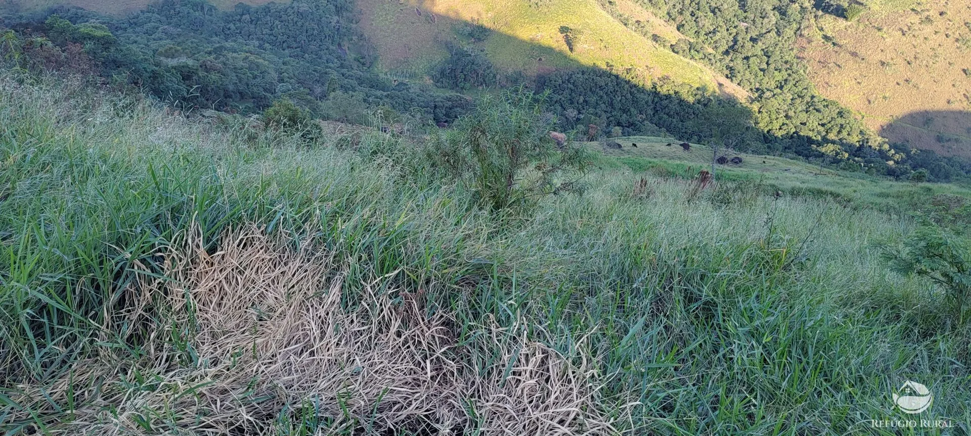 Terreno à venda de 3 ha em São José dos Campos, SP, Brasil