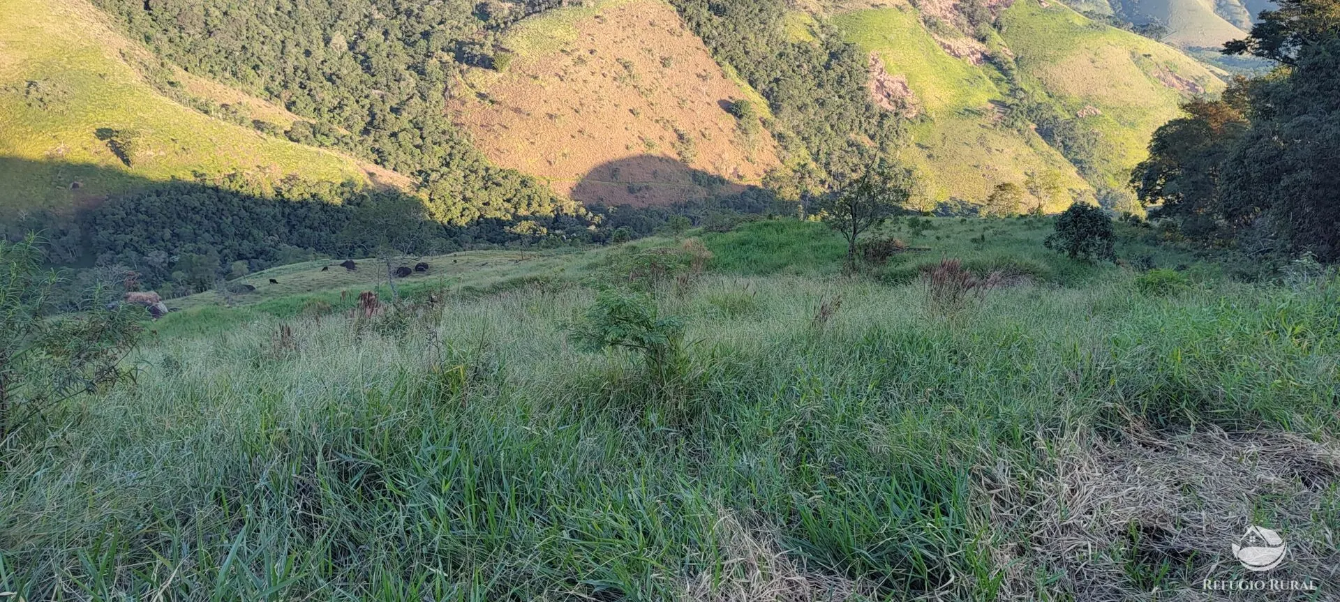 Terreno à venda de 3 ha em São José dos Campos, SP, Brasil