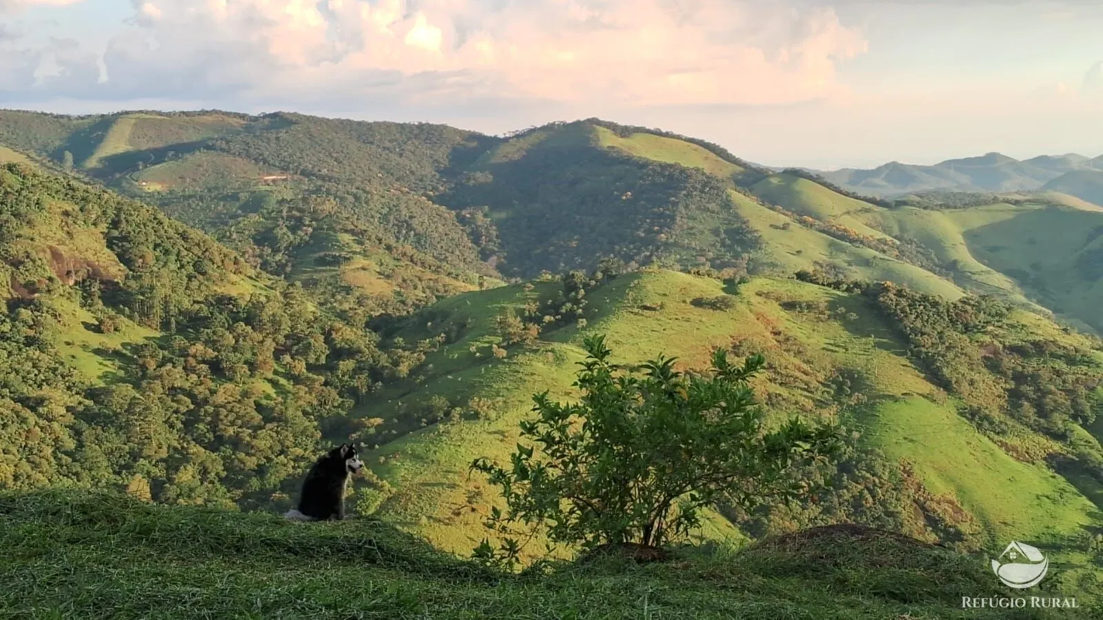 Terreno à venda de 3 ha em São José dos Campos, SP, Brasil